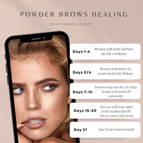 Combo Brows Healing Process, Powder Brows Healing Process, Brow Studio Ideas, Brow Room, Microblading Healing Process, Pmu Brows, Ombre Brows, Brow Studio, Powder Brows