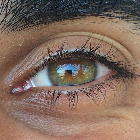 @𝘴𝘶𝘯𝘯𝘺𝘳𝘩𝘢𝘱𝘴𝘰𝘥𝘺 Eye Lens Colour, Beautiful Eyes Color, Eye Photography, Aesthetic Eyes, Human Eye, Contact Lenses Colored, Hazel Eyes, Eye Art, Pretty Eyes