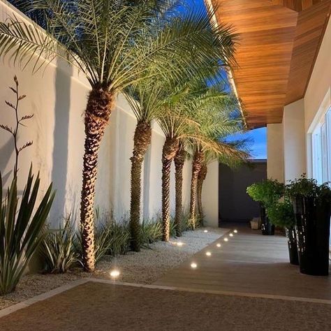 Roof Terrace Design, Tropical Landscape Design, Compound Wall Design, Garden Wall Designs, Side Yard Landscaping, Courtyard Design, Outdoor Gardens Design, Terrace Design, Backyard Garden Design