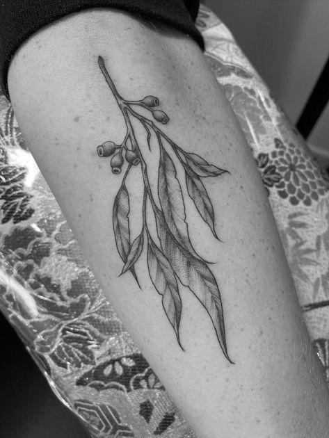 Gumtree Tattoos, Gum Leaves Tattoo, Australia Themed Tattoo, Australian Themed Tattoo, Gum Tree Tattoo, Gum Leaf Tattoo, Eucalyptus Tattoo, Australian Tattoo, Flower Tat