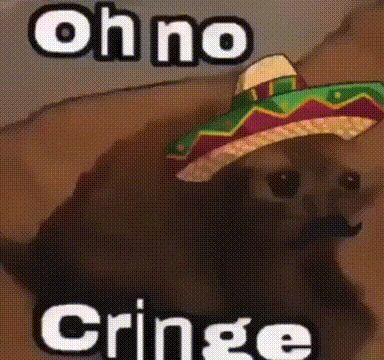 Oh No Cringe Mexican Cat GIF - Oh no cringe Mexican cat Cringe - Discover & Share GIFs Oh No Cringe Cat, Oh No Cringe, Mexican Cat, Extremely Funny, Goofy Ahh, Extremely Funny Jokes, Some Funny Jokes, Silly Cats, Hysterically Funny