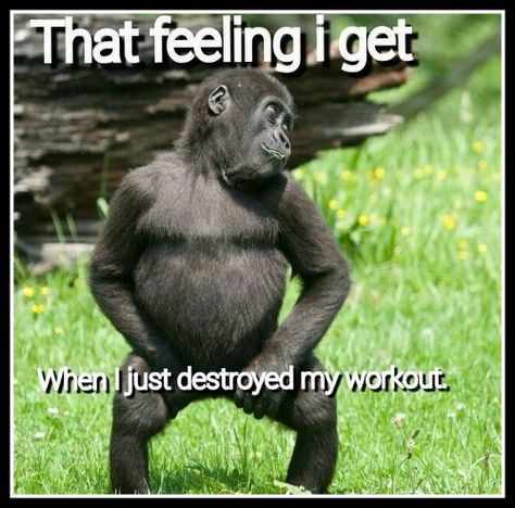 Fit Friday Fun – 07-11-14 – The Total Body Super Circuit | Better with Cake Barre Memes Funny Hilarious, Workout Humor Quotes, Workout Funny Humor, Friday Fitness Motivation, Fitness Humor Quotes, Funny Fitness Motivation, Time Motivation, Workout Memes Funny, Gym Humour