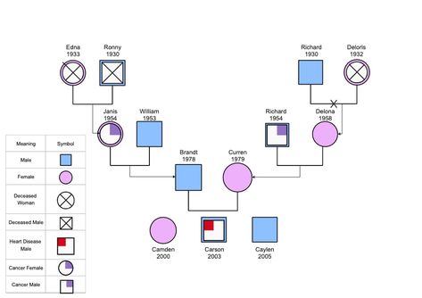 A Family Genogram is a visual representation of an individual's family history and relationships. This template provides a comprehensive overview of the family structure, including members' names, births, genders, health conditions and relationships to each other. It can be used as a powerful visual tool for understanding an individual's family history and relationships. Family Genogram, Family Structure, Visual Representation, Health Conditions, Family History, A Family, The Family, Disease, History