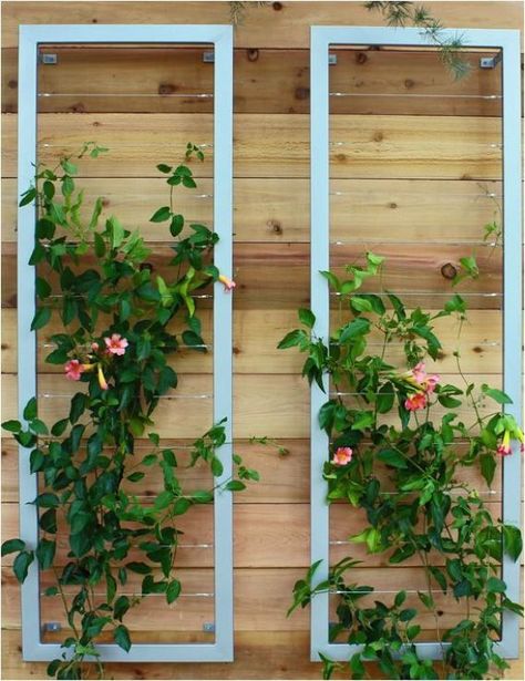 Vertical Garden Supports | Centsational Girl | Bloglovin’ Wall Trellis, Modern Trellis, Diy Garden Trellis, Vertical Vegetable Garden, Diy Trellis, Vertical Herb Garden, Vertical Garden Diy, Garden Vines, Plants Growing