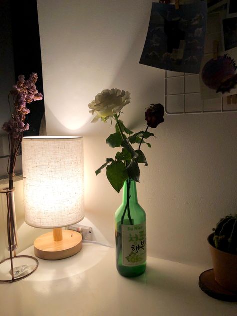 white rose in soju bottle, dried flowers in a tube, valentine’s day, desk Soju Bottle Decoration, Soju Aesthetic, Flowers In Glass Bottles, Flower In A Bottle, Flowers In Bottles, Bottle Drawing, Flower Bottle, Bday Party Theme, Room Deco