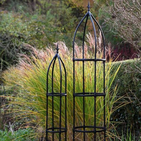 Growing Runner Beans, Metal Obelisk, Metal Garden Ornaments, Garden Obelisk, Vegetable Patch, Gardening Gear, Runner Beans, Wall Garden, Beautiful Plants