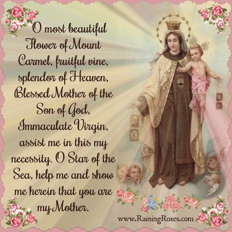 O most beautiful Flower of Mount Carmel, fruitful vine, splendor of Heaven, Blessed Mother of the Son of God, Immaculate Virgin, assist me in this my necessity. O Star of the Sea, help me and show me herein that you are my Mother. Our Lady Of Mt Carmel, Catholic Prayers Daily, Most Beautiful Flower, Mount Carmel, Religious Pictures, Miracle Prayer, Special Prayers, Jesus Prayer, Blessed Mother Mary