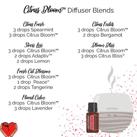 Citrus Bloom Diffuser Blends, Doterra Blends, Doterra Diffuser, Doterra Essential Oils Recipes, Essential Oil Diffuser Blends Recipes, Essential Oils Guide, Essential Oil Diffuser Recipes, Oil Diffuser Recipes, Essential Oil Blends Recipes