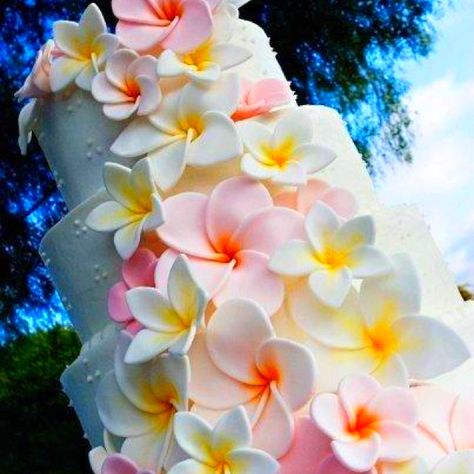 Plumeria Cake Plumeria Cake, Plumeria Wedding, Wedding Cupcake Tower, Cake Summer, Hawaiian Cake, Cupcake Tower Wedding, Island Cake, Summer Cake, Wedding Tropical