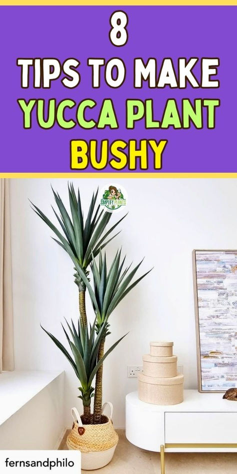 "Discover 8 essential tips to make your yucca plant bushy and vibrant! From  effective yucca plant care indoors to outdoor maintenance, learn how to  prevent yucca plant yellow leaves and promote healthy growth. Perfect for  enhancing your home decor, these expert tips will help you cultivate a  thriving yucca plant that adds beauty to any space. Transform your indoor  and outdoor yucca plants today!" Yuca Plant Indoor, Yuca Plant, Cane Plant Care, Yucca Cane Plant, Yucca Plant Indoor, Yucca Cane, Yucca Plant Care, Houseplant Care, Yucca Plant