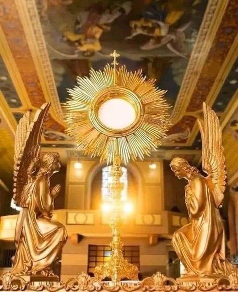 Adoration Catholic, Eucharistic Miracle, The Blessed Sacrament, Lion Of Judah Jesus, Our Lady Of Mount Carmel, Orthodox Catholic, Catholic Altar, Eucharistic Adoration, Church Interior Design