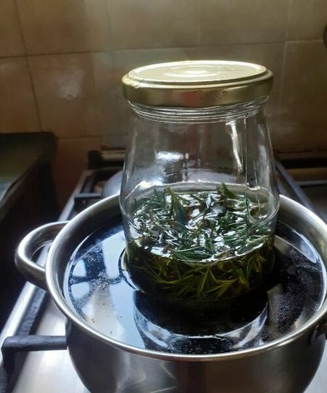 How To Make Jasmine Oil, How To Make Rosemary Essential Oil, How To Make Rosemary Oil At Home, How To Make Rosemary Oil, Homemade Rosemary Oil, Rosemary Infused Oil, Rosemary Oil Benefits, Rosemary Plant Care, Herbs Medicine