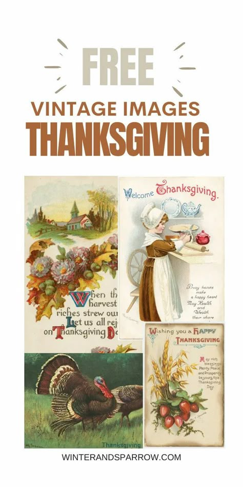 Download beautiful Vintage Thanksgiving Images Plus a Free Gratitude Printable. Perfect for your Autumn and Thanksgiving decor! | Details at winterandsparrow.com #vintagethanksgivingimages #vintagethanksgivingpostcards #thanksgivingpostcards #vintagethanksgivingart #gratitudedefinition #gratitudeprintable Vintage Turkey Images, Thanksgiving Vintage Images, Thanksgiving Images Free, Thanksgiving Verses Printable, Vintage Thanksgiving Images, Thanksgiving Free Printables, Vintage Thanksgiving Decorations, Thanksgiving Printables Free, Vintage Fall Images