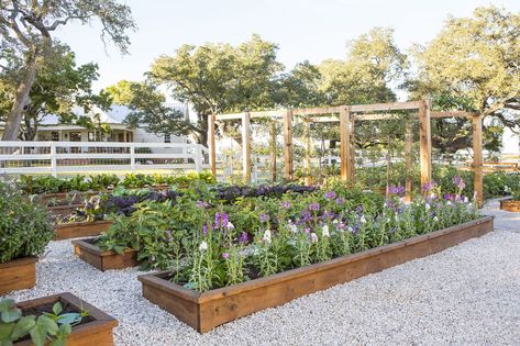 Chip And Joanna Gaines Are Giving Their Garden A Major Makeover In A New HGTV SpecialDelish Joanna Gaines Garden, Joanna Gaines Farmhouse, Farmhouse Garden, Chip And Joanna Gaines, Cut Flower Garden, Family Garden, Have Inspiration, Garden Photos, Garden Boxes