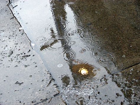 the smell of wet sidewalks after the rain Rainy Sidewalk, Wet Sidewalk, Rain Ripples, Water Frequency, Rain Smell, Rain Pouring Aesthetic, Rain Puddle, Wet Pavement, Wet Streets Rainy Night