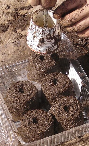 DIY soil blocker Soil Blocks, Seed Starters, Seed Starter, Soil, Seeds, Water