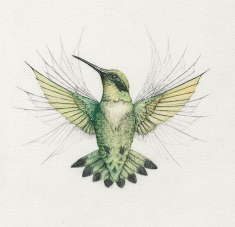 Embroidery Samplers, Art Experiments, Wings Feathers, Hummingbird Illustration, Birds Wings, Bird Sketch, Watercolor Birds, Chest Tattoos, Hummingbird Art