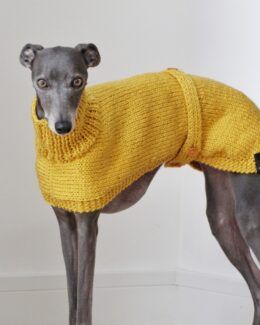 Whippet Jumpers & Sweaters | Greyhound Italian Lurchers Crochet Greyhound, Blue Whippet, Mustard Jumper, Jumper Pattern, Mustard Yellow Sweater, Chunky Knit Jumper, Jumper Patterns, Yellow Mustard, Sweater Jumper