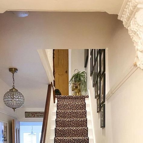 Laura | Leopard Print Stairs on Instagram: "Let’s hear it for the stairs 👏🏻 🐆 

Worth being admired from every angle, so here she is, all 30 steps and the landings in between…

I hope you’re had lovely weekends? Early nights for us tonight as we’ve lots planned for the week ahead…

#leopardprint 
#leopardcarpet 
#leopardprinteverything 
#hallwayinspo 
#victorianterrace 
#hallwaydecor 
#victorianhouse 
#entrancehalldesign 
#periodhome 
#periodhomesofinsta 
#leopardprintdecor 
#a_e_s_t_h_e_t_i_c 
#maximalistinteriors 
#maximalistdecor 
#interiordesigner 
#interiorstyling 
#artinmyhome 
#statementart 
#farrowandballstrongwhite 
#myhomevibe 
#originalfeatures 
#stairrunner 
#originalfloorboards
#statementinteriors 
#myinteriorstyletoday 
#homeaccountuk 
#interioraccount
#apartmenttherapy 
# Leopard Print Stairs, Leopard Stair Runner, Leopard Carpet, Leopard Print Decor, Victorian Terrace, Maximalist Decor, Statement Art, Stair Runner Carpet, Stair Runner