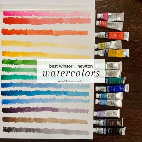 Windsor And Newton Watercolor Palette, Watercolor Basics, Winsor Newton Watercolor, Watercolor Supplies, Winsor And Newton, Winsor And Newton Watercolor, Colour Story, Colour Mixing, Watercolor Mixing