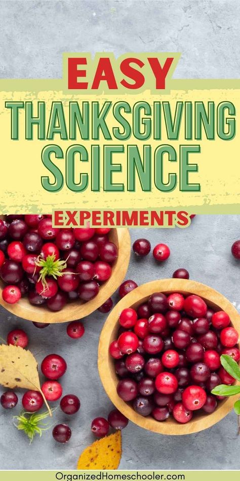 easy Thanksgiving sceince experiments written above two bowls of fresh cranberries Turkey Experiments For Kids, Harvest Science Preschool, November Stem Activities Kindergarten, November Steam Activities For Kids, Science Thanksgiving Activities, Thanksgiving Science For Kids, November Activity Ideas, Thanksgiving Preschool Science, Thanksgiving Science Experiments Preschool