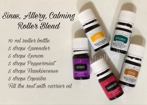 Essential Oils Sinus, Essential Oil Blends Roller, Essential Oil Roller Bottle Recipes, Essential Oil Starter Kit, Roller Blends, Essential Oils For Colds, Essential Oil Roller Balls, Young Living Essential Oils Recipes, Essential Oils Guide