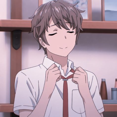 Sakuta Azusagawa, Rascal Does Not Dream, Bunny Girl Senpai, Mai Sakurajima, Fate Stay Night Anime, Boy Character, Japanese Boy, Anime Wall Art, Bunny Girl