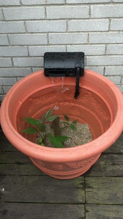 Patio pond made from a flower pot (without drain holes) and fish tank filter system... Fish Ponds Backyard, Patio Water Feature, Patio Pond, Small Patio Decor, Backyard Wedding Lighting, Goldfish Pond, Aquaponics Fish, Water Gardens Pond, Backyard Pond