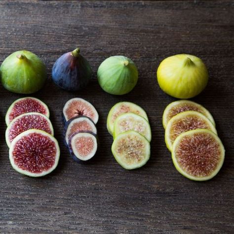 What are the different types of figs? - RatinKhosh Co. Types Of Figs, Fig Fruit Tree, Growing Fig Trees, Fig Paste, Backyard Orchard, Fig Varieties, Black Mission Fig, Fig Bars, Fig Trees