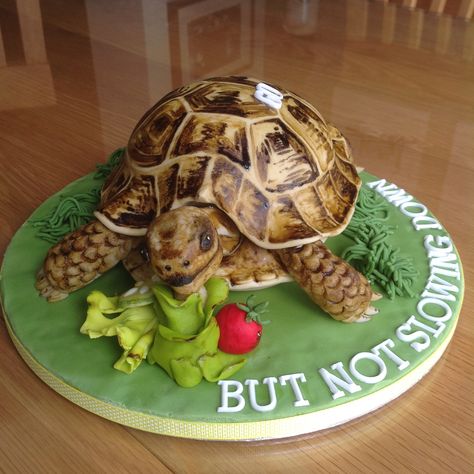 Tortoise Cake Ideas, Tortoise Cake Birthdays, Tortoise Birthday Cake, Tortoise Cake, Sheep Cake, Fab Cakes, 6th Birthday Cakes, 10 Birthday Cake, Realistic Cakes