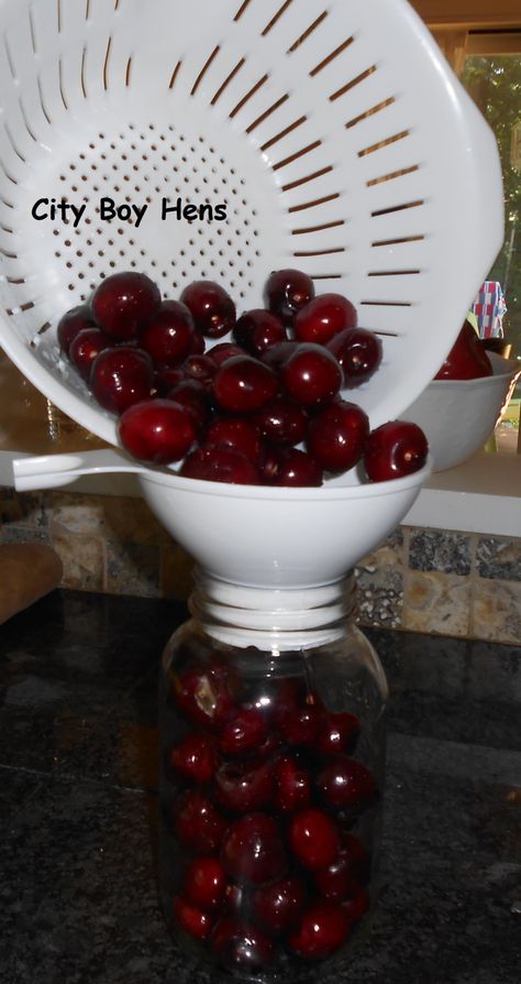 Drunken Cherries Recipe, Sweet Cherry Recipes, Drunken Cherries, Drunken Desserts, Cherry Bounce, Homemade Liqueur Recipes, Bourbon Cherries, Cherry Vodka, Bing Cherries