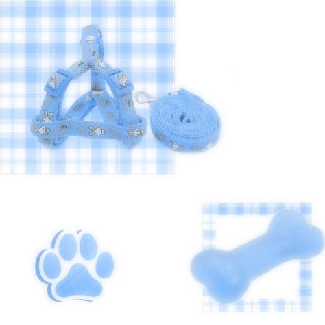 Blue Puppycore, Petregre Puppy, Puppy Boy Aesthetic, Puppy Space, Pet Regression, Puppy Boy, Puppy Time, Pet Spaces, Lil Boy