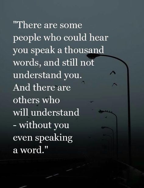 This is SO TRUE. Stop trying to communicate with people who are never going to understand you or get what you’re trying to say Understanding Quotes, Stop Trying, Say That Again, Star Moon, Life Advice, Amazing Quotes, Sign Quotes, The Words, Understanding Yourself