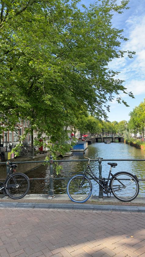 Canal in Amsterdam, summer, bikes in Amsterdam, bridge & a pretty tree Amsterdam Bridge, Amsterdam Summer, Pretty Trees, Amsterdam Canals, I Amsterdam, Amsterdam, Bridge, Mood Board, Reading