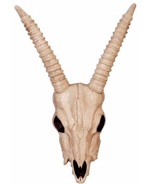 🚨Unleash your wild side with the fierce and stylish Skeleton Gazelle Head! 🦌🔥 Transform any space into a statement with this unique piece. 💀🖤 Don't miss out on this must-have decor item! 😍 #skeletongazellehead #wildandfree #statementpiece #homedecor #trendingnow #musthave #fierce #unique #skullart #interiordesign #bargainsdelivered Shop Now https://www.bargainsdelivered.com/products/skeleton-gazelle-head Gazelle Skull, Haunted Manor, Edgy Accessories, Underwater Camera, Hitch Accessories, Skeleton Skull, Skull Halloween, Plastic Molds, Halloween Skull