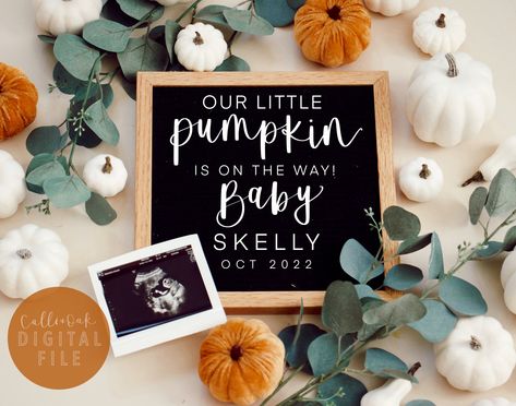 Pumpkin Pregnancy Announcement, Fall Baby Announcement, Baby Due Date, Digital Pregnancy Announcement, Pregnancy Announcements, Baby Announcements, Bachelorette Trip, Pumpkin Baby, Baby Shower Pumpkin