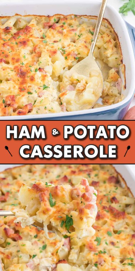 Precooked Ham In Oven, Ham In Oven, Ham Dinner Ideas, Ham And Potato Recipes, Oven Ham, Cheesy Ham And Potato Casserole, Ham Dinner Recipes, Precooked Ham, Ham Casserole Recipes