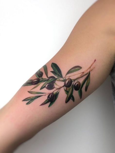 Tattoo Olive Branch, Olive Tree Tattoos, Olive Tattoo, Tree Branch Tattoo, Tree Tattoo Arm, Olive Branch Tattoo, Branch Tattoo, C Tattoo, Skeleton Hand Tattoo