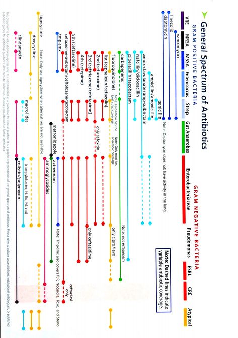 Dropbox - Antibiotic Spectrum.pdf - Simplify your life Pharmacy School Study, Med School Study, Nursing School Essential, Therapy Techniques, Medical School Life, Medicine Studies, Nurse Study Notes, Vet Medicine, Medical Student Study