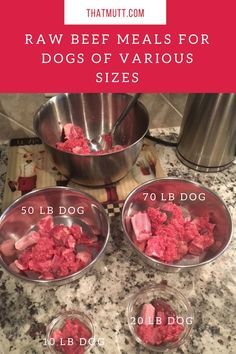 Diy Raw Dog Food, Meals For Dogs, Raw Feeding For Dogs, Food On A Budget, Raw Dog Food Diet, Beef Meals, Raw Dog Food, Make Dog Food, Raw Dog Food Recipes