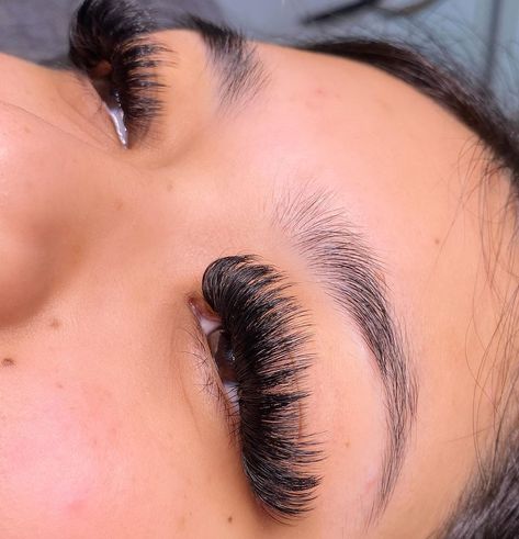 Curl Lashes, Volume Lashes, Lashes, Cashmere, On Instagram, Quick Saves, Instagram