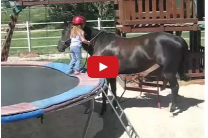 Sianna is only 3 years old, riding her 6 year old Quart… Horses Videos, Reining Horses, Horse Videos, Baby Horses, Thunder And Lightning, Horse Training, Funny Dog Videos, Trail Riding, Quarter Horse