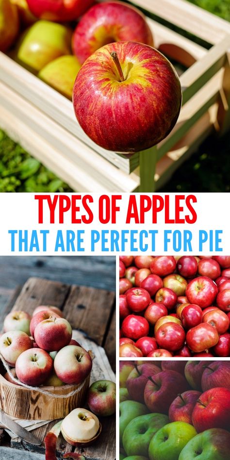 Ultimate Guide To The BEST Apples For Baking This Season Best Apples For Apple Pie Filling, What Are The Best Apples For Apple Pie, Best Apple For Baking, Best Apples For Pie Baking, Baking Apples Chart, Best Baking Apples For Pies, What Apples Are Best For Baking, Best Apples For Pie, Best Baking Apples