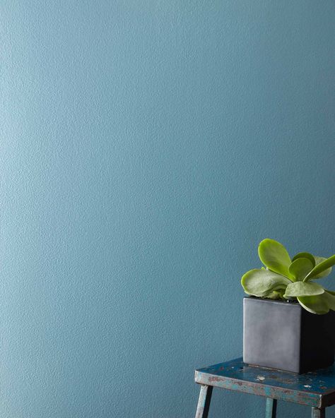 Labrador Blue 1670 | Benjamin Moore Benjamin Moore Paint Colors Blue, Denim Blue Paint, Dusty Blue Paint, Paint Color Swatches, Benjamin Moore Blue, Art Studio Design, Blue Paint Colors, Color Vibe, Benjamin Moore Paint