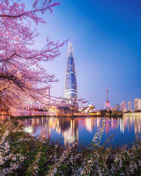 Aesthetic South Korea, Seoul Aesthetic, Where's My Water, Cherry Blossom Pictures, Korea Street, Iphone Image, Namsan Tower, Aesthetic Widgets, Korea Wallpaper