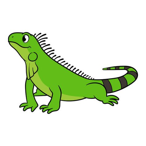 Iguana Vectores Libres de Derechos - iStock Iguana Craft, Iguana Illustration, Iguana Drawing, Science Portfolio, Clown Crafts, Strange Family, Alphabet Animals, Family Matters, Kids Coloring Books