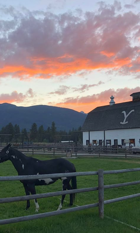 Chief Joseph Ranch, Montana Guest Ranch Horse Ranch Aesthetic, Ranch Life Country Living, Chief Joseph Ranch, Montana Ranch House, Wyoming Summer, Montana Aesthetic, Indigo Ridge, Wyoming Ranch, Ranch Montana