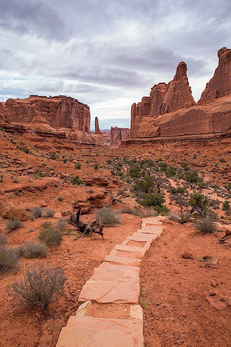 Desert Aesthetic, Capitol Reef National Park, National Park Road Trip, Utah National Parks, Red Rocks, Arches National Park, Park Avenue, Zion National Park, Road Trip Usa