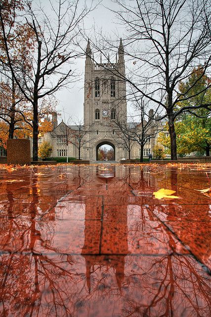 MU, favorite building on campus Jesse Hall, Union University, Columbia College, Columbia Missouri, Washington State University, Columbia Mo, Missouri Tigers, University Of Missouri, College Campus