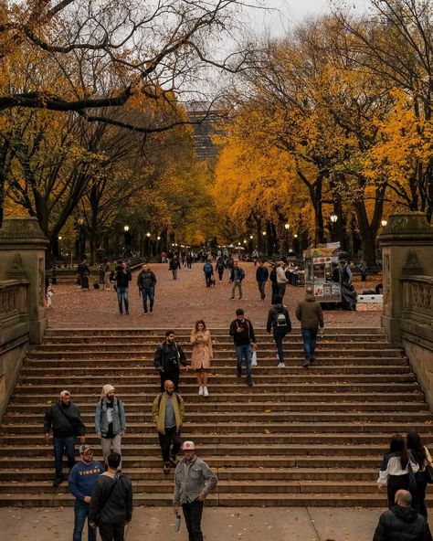 Pinterest Saves • Instagram Upper West Side Manhattan, Autumn Evening, Autumn In New York, Evening Walk, Upper West Side, Early Autumn, Early Fall, Autumn Aesthetic, City Life